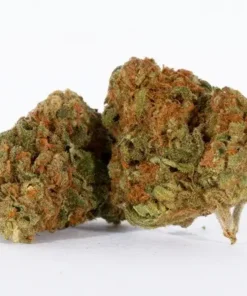 Order Chocolope Marijuana Strain
