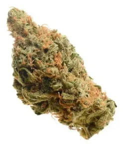 Order Lemon Haze Sativa Marijuana with vibrant green and yellow buds