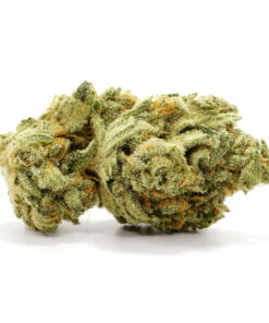 Original Glue Weed Strain Canberra