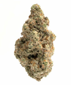 Pancakes Marijuana Strain Darwin