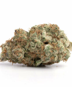 Permafrost Sativa Marijuana Strain Albury