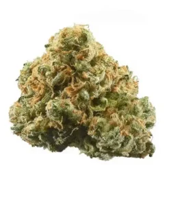Pineapple Express Hybrid Weed strain