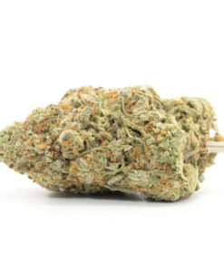 Pineapple Punch Cannabis Strain