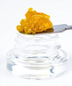 Pink Kush Marijuana Live Resin
