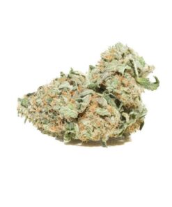 Pink Kush Strain