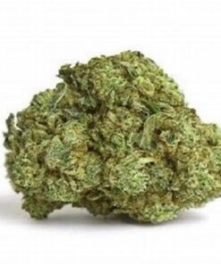 Platinum Blackberry Indica Cannabis Strain AU