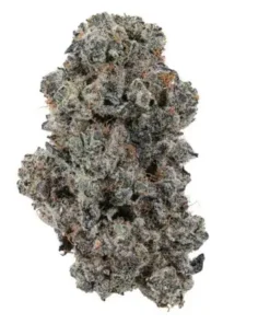 Platinum Cookies Hybrid Weed Flower
