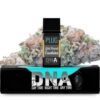 PLUG Vape Pods for a premium vaping experience