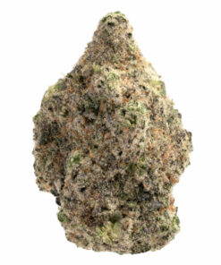 Purple Cream Marijuana Strain Albury