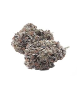 Purple Haze Hybrid Cannabis Strain