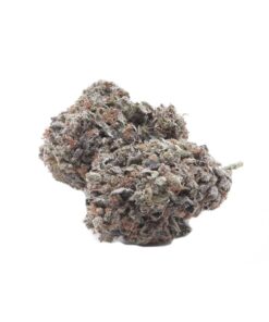 Purple Haze Hybrid Cannabis Strain