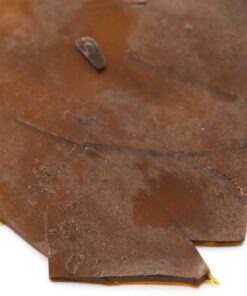 Purple Kush Cannabis Shatter Concentrate