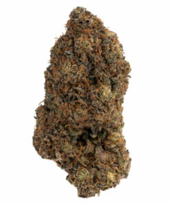 Purple Magic Marijuana Strain Hobart