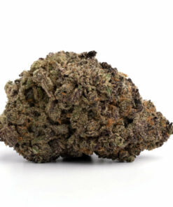 Purple Punch Cannabis Strain