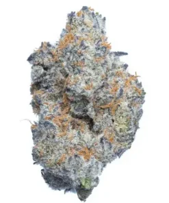 Purple Punch Marijuana Strain AU - a hybrid cannabis strain with sweet berry flavors