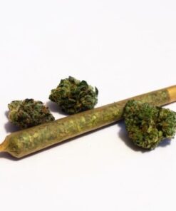 Purple Space Cookies (AAAA) Weed Pre-rolled Joint