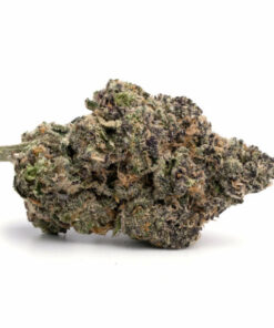 Purple Tangie Weed Strain Hobart