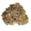 Purple Urkle Cannabis Strain with rich purple coloration