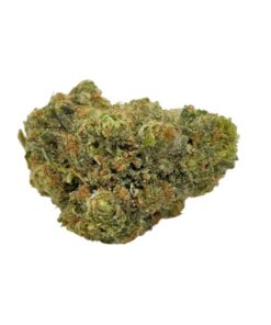 Rainbow Belt Marijuana Strain Geelong