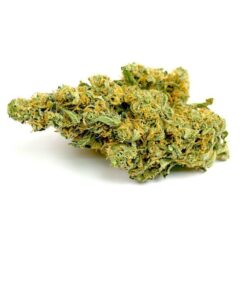 Rare Congolese Marijuana Strain Albury