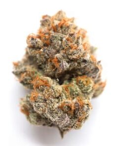 Romulan THC Marijuana - Premium Indica Strain