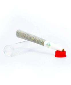Sativa Cannabis Pre-rolled Joint