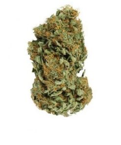 SFV OG Cannabis Flower showcasing dense buds with earthy pine and lemon aromas