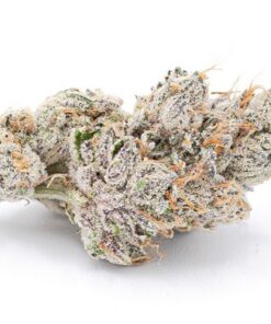 Shop Dosidos Hybrid Strain
