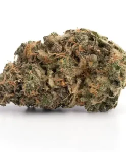 Shop Purple Haze Sativa Weed Strain