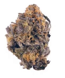 Shop Purple Kush Cannabis Strain VIC