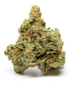 Sky lker OG Hybrid Marijuana strain with sweet berry aroma and relaxing effects