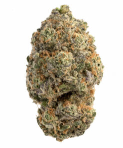 Slayer Cake Weed Strain - Premium hybrid cannabis with diesel and spice aromas