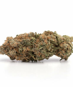 Sour Amnesia Haze Weed Strain