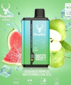 Stag Bar Gemini 2-in-1 30000 Double Apple & termelon Ice