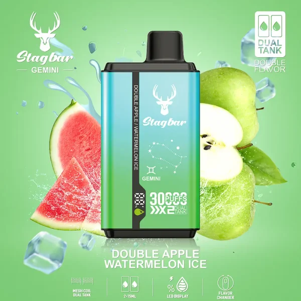 Stag Bar Gemini 2-in-1 30000 Double Apple & termelon Ice