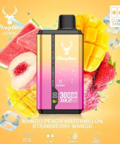 Stag Bar Gemini 2-in-1 30000 Mango Peach termelon & Strawberry Mango