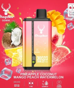 Stag Bar Gemini 2-in-1 30000 Pineapple Coconut & Mango Peach termelon