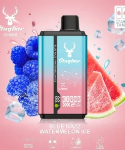 Stag Bar Gemini 2-in-1 30000 Puffs Blue Razz & termelon Ice