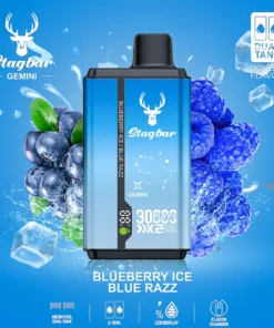 Stag Bar Gemini 2-in-1 30000 Puffs Blueberry Ice & Blue Razz