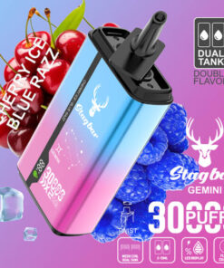 Stag Bar Gemini 2-in-1 30000 Puffs Cherry Ice & Blue Razz