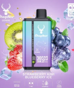 Stag Bar Gemini 2-in-1 30000 Strawberry Kiwi & Blueberry Ice