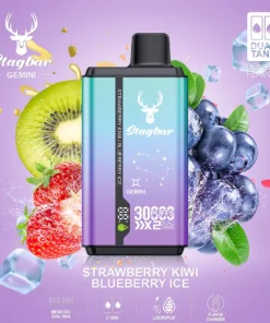 Stag Bar Gemini 2-in-1 30000 Strawberry Kiwi & Blueberry Ice