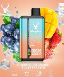 Stag Bar Gemini 2-in-1 30000 Strawberry Mango & Blueberry Ice