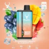 Stag Bar Gemini 2-in-1 30000 Strawberry Mango & Blueberry Ice vape device