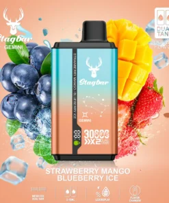 Stag Bar Gemini 2-in-1 30000 Strawberry Mango & Blueberry Ice vape device