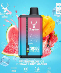 Stag Bar Gemini 2-in-1 30000 termelon Ice & Strawberry Mango