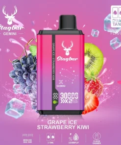 Stag Bar Gemini 30000 Puffs Grape Ice & Strawberry Kiwi