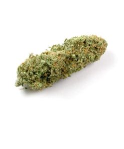 Strawberry Cough Marijuana Strain Ballarat