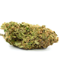 Strawberry Shortcake Weed Strain