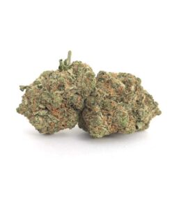 Sunset Sherbert Hybrid Weed Strain